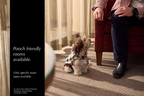 View Sydney image 25